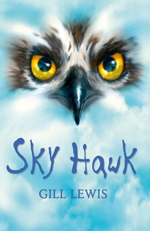 Rollercoasters - sky hawk