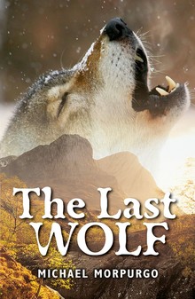 Rollercoasters - the last wolf